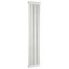 Трубчатый радиатор Arbonia 2180/06, 6 секции, 3/4", белый, вертикальный, боковое подключение